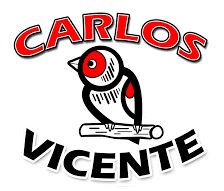 Logo-Carlos-Vicente